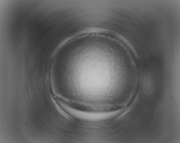 X0000083051417200702091426