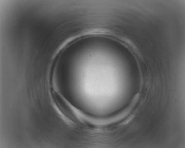 X0000083051422200702091426