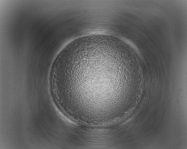 X0000083051423200702091426