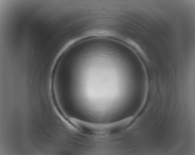 X0000083051424200702091426