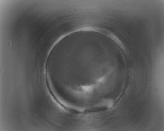 X0000083051428200702091426