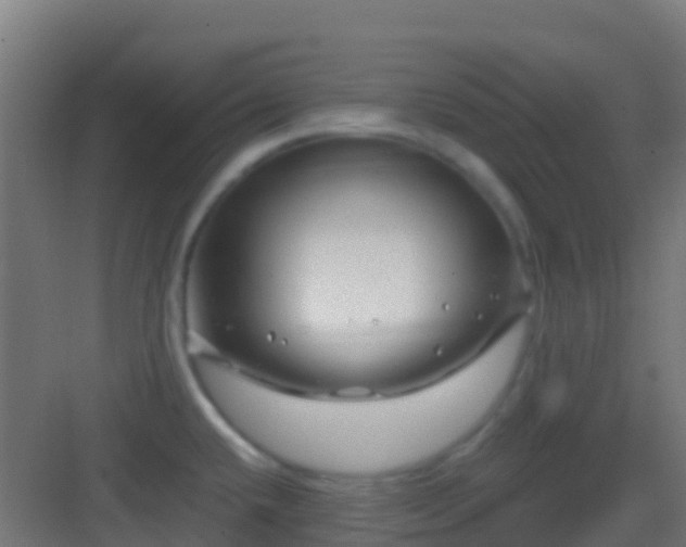 X0000083051432200702091426