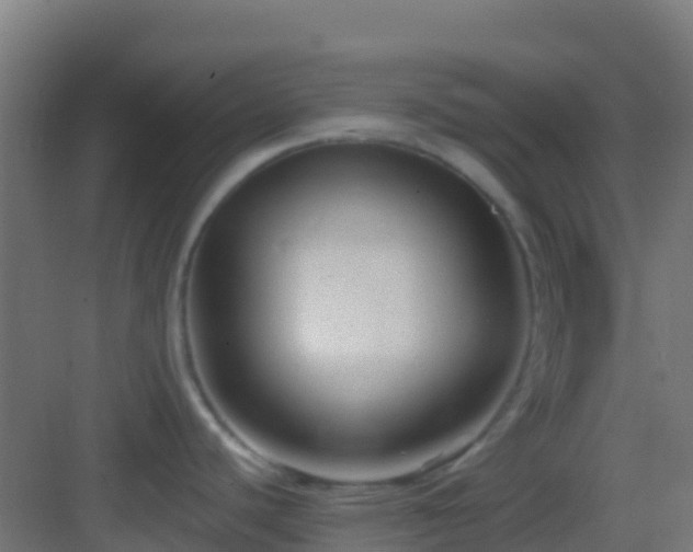 X0000083051440200702091426