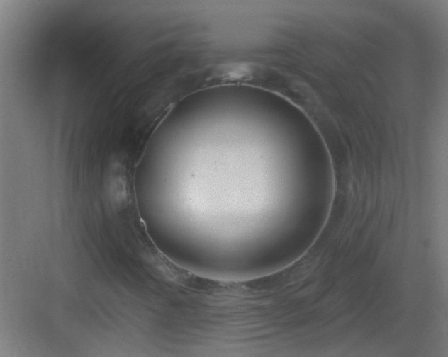 X0000083051442200702091426