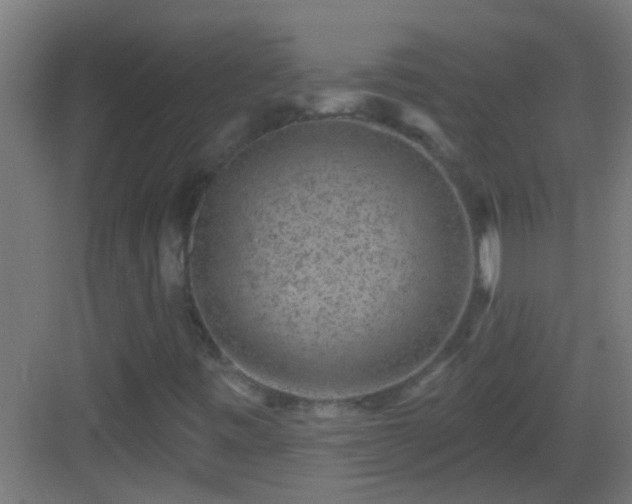 X0000083051443200702091425