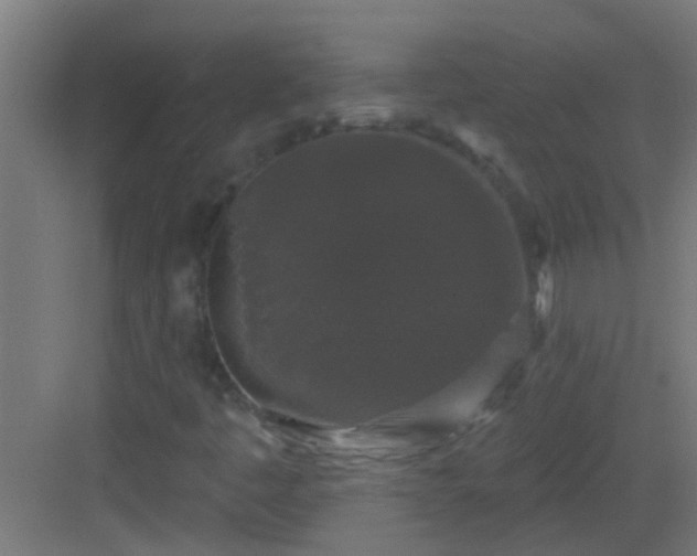 X0000083051445200702091425