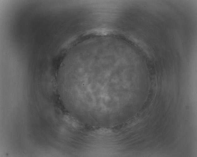 X0000083051446200702091425