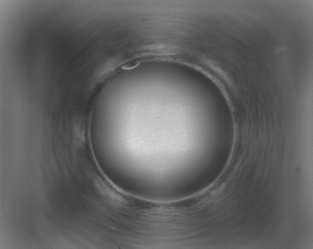 X0000083051451200702091425