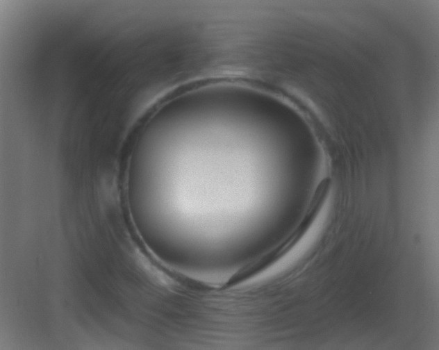 X0000083051452200702091425