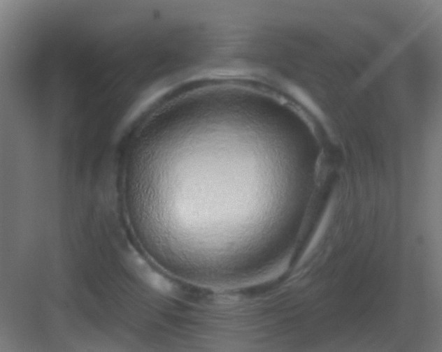 X0000083051456200702091425