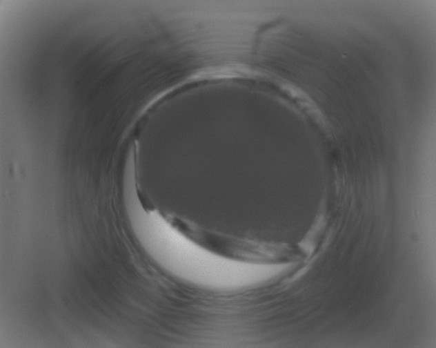 X0000083051457200702091425