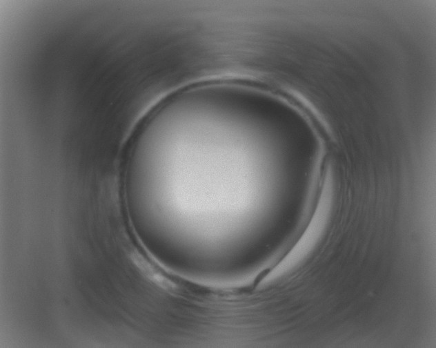 X0000083051460200702091425