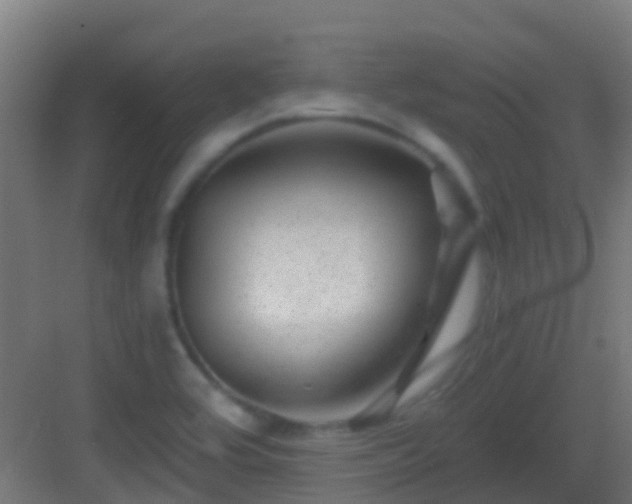 X0000083051464200702091425