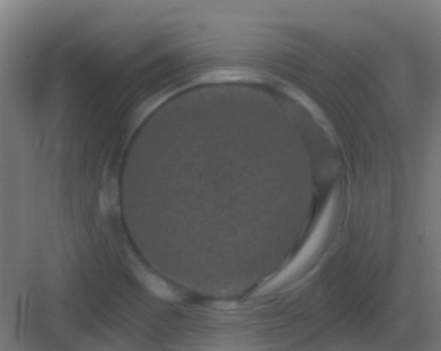 X0000083051465200702091425