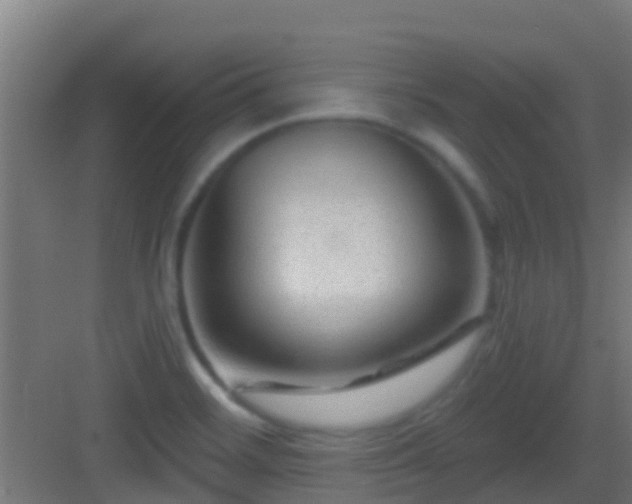 X0000083051468200702091425