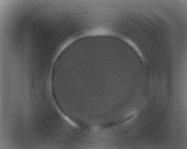 X0000083051469200702091425