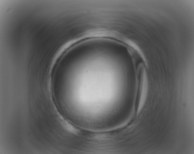 X0000083051472200702091425
