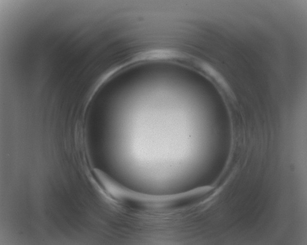 X0000083051473200702091425