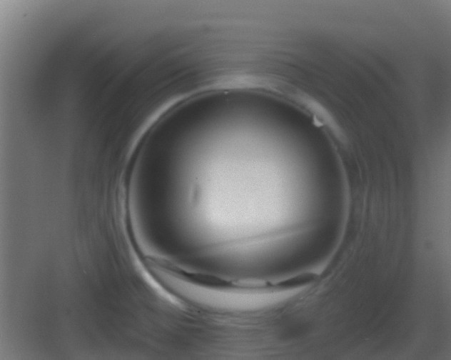 X0000083051476200702091425