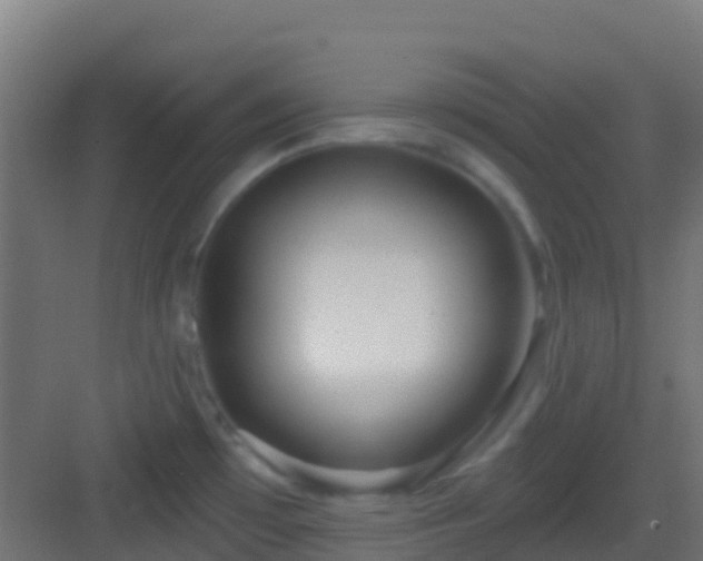 X0000083051481200702091425