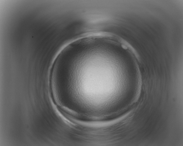 X0000083051483200702091425