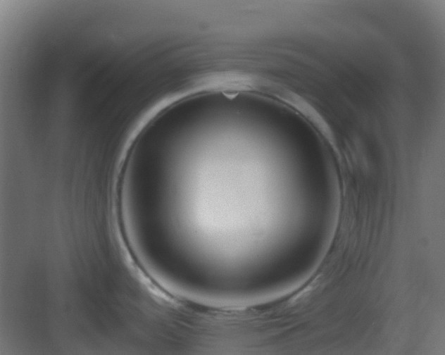 X0000083051488200702091425