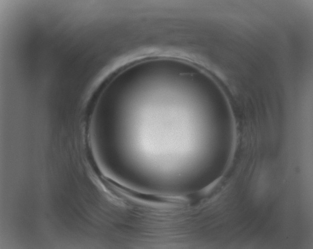 X0000083051503200702091424