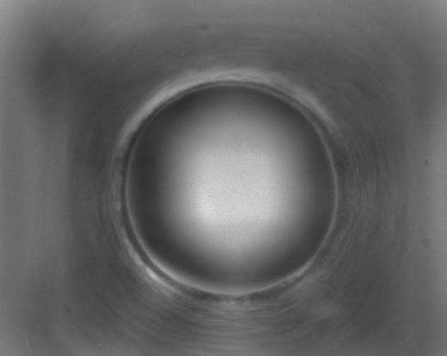 X0000083051504200702091424