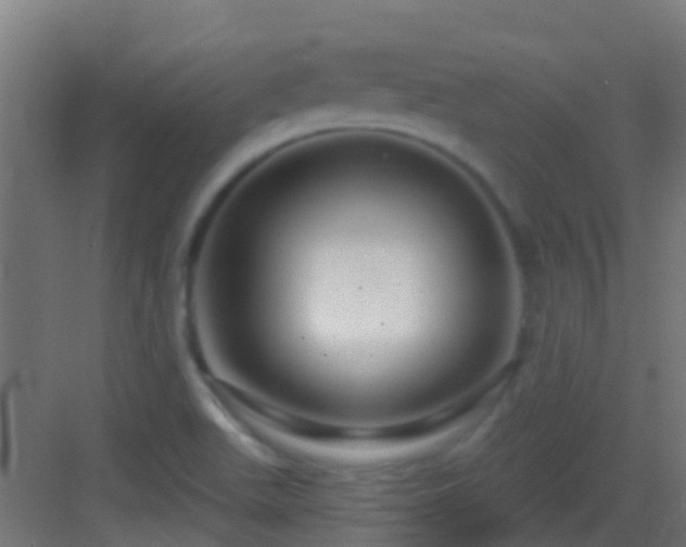 X0000083051511200702091424