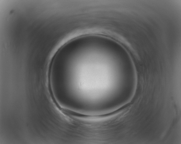 X0000083051512200702091424