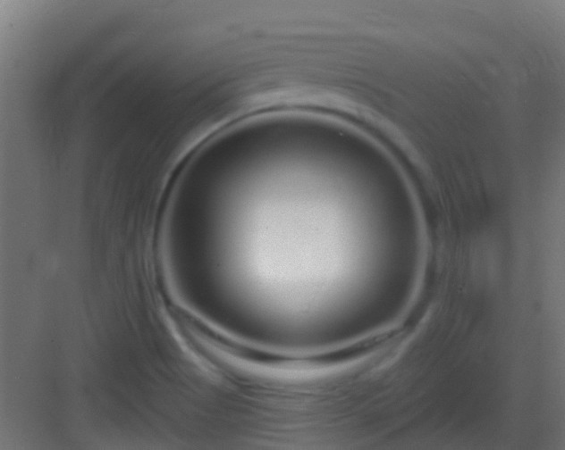 X0000083051513200702091424