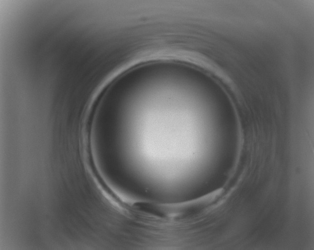 X0000083051517200702091424