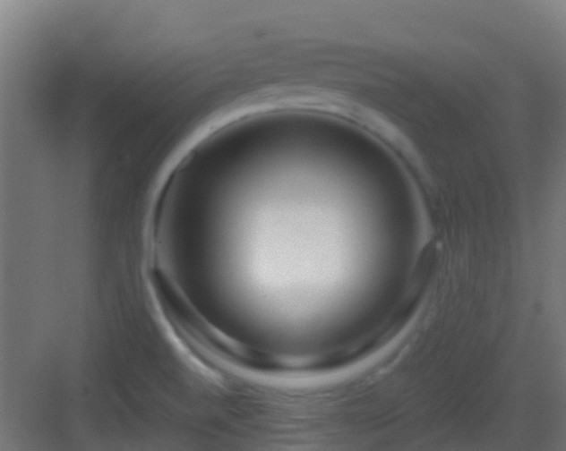 X0000083051520200702091424