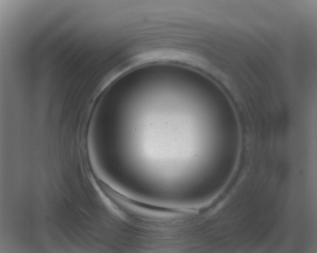 X0000083051521200702091424