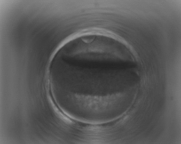 X0000083051522200702091424