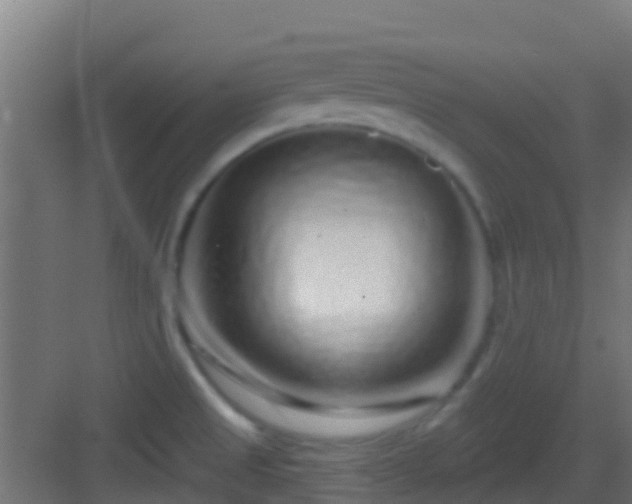 X0000083051525200702091425