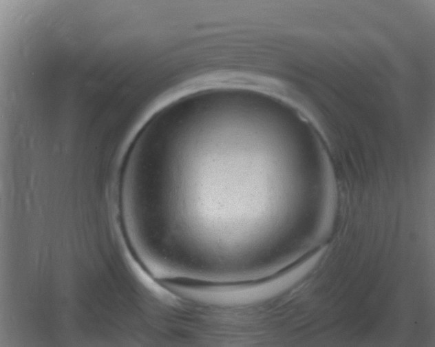 X0000083051531200702091425