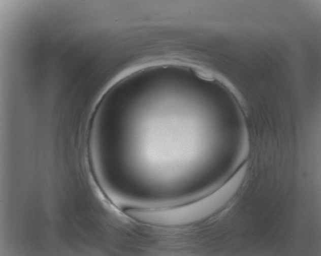 X0000083051534200702091425