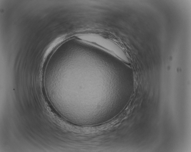 X0000083050006200702161743