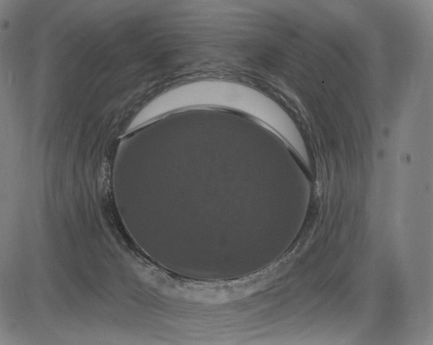 X0000083050029200702161743