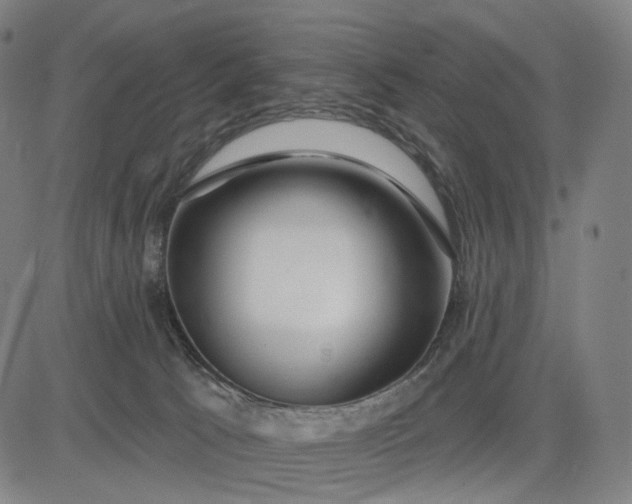 X0000083050033200702161742