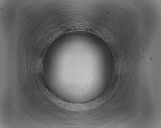 X0000083050034200702161742