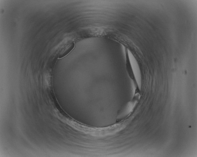 X0000083050035200702161742