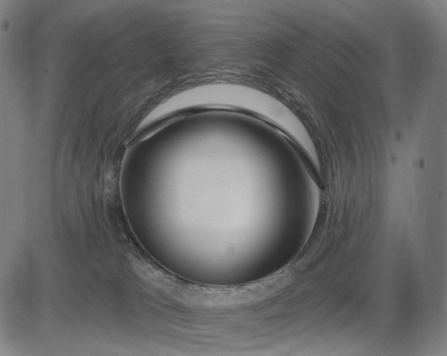 X0000083050037200702161742