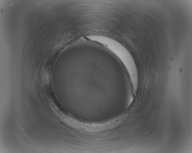 X0000083050039200702161742