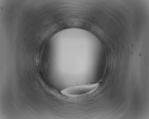 X0000083050040200702161742