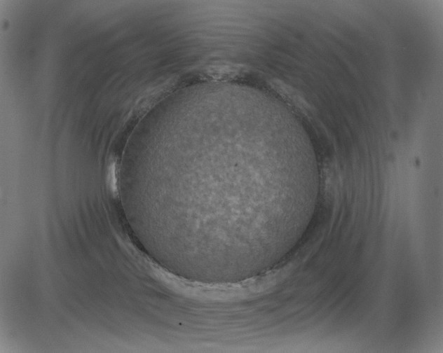 X0000083050042200702161742