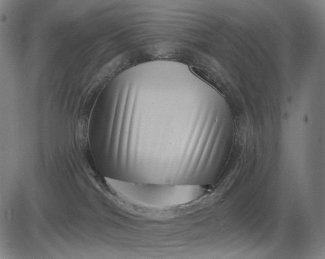 X0000083050044200702161742