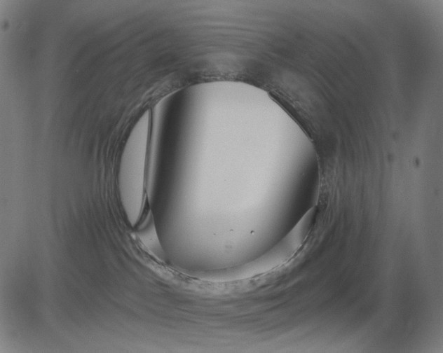 X0000083050045200702161742