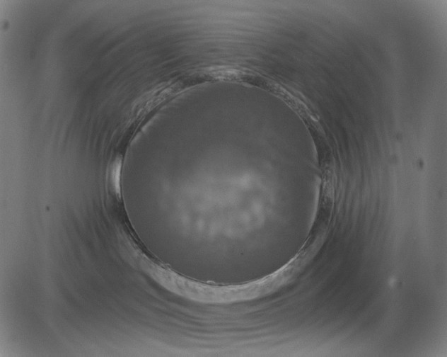 X0000083050047200702161742